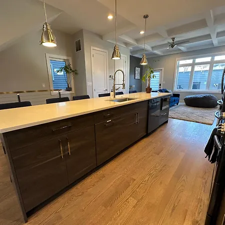 Modern Sfh Near Mccormick Place & Soldier Field